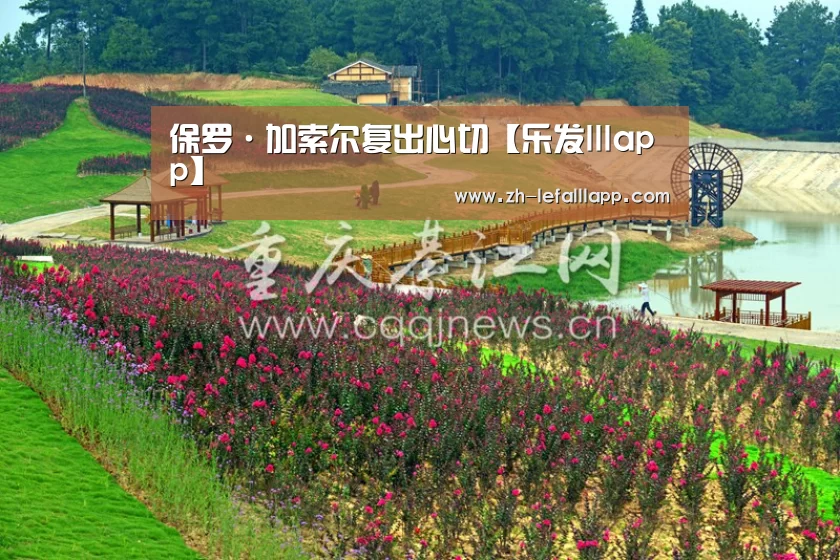 保罗·加索尔复出心切【乐发lllapp】