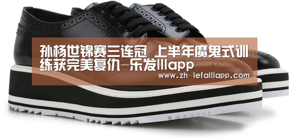孙杨世锦赛三连冠 上半年魔鬼式训练获完美复仇-乐发lllap