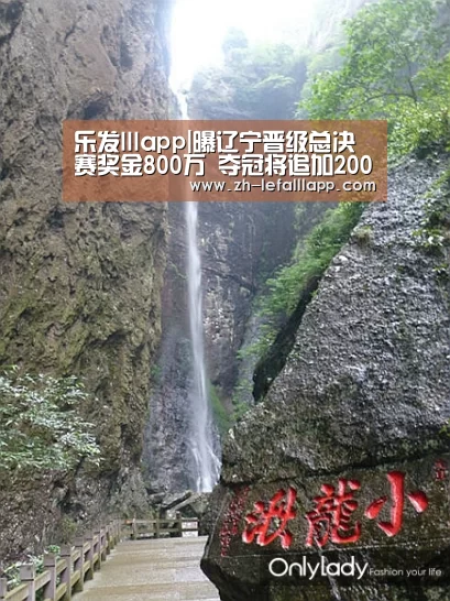 乐发lllapp|曝辽宁晋级总决赛奖金800万 夺冠将追加2