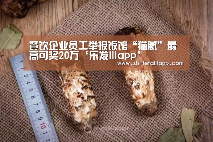 乐发lllapp