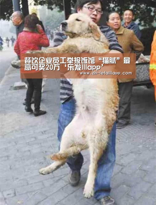 餐饮企业员工举报饭馆“猫腻”最高可奖20万‘乐发lllapp
